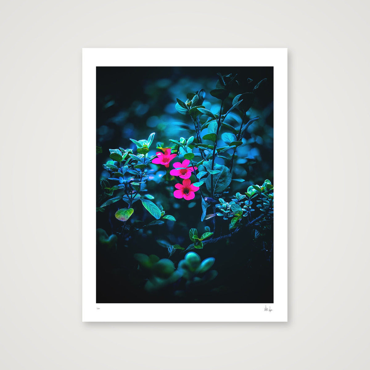 Isolate — 30×40cm, 12×16" Print only