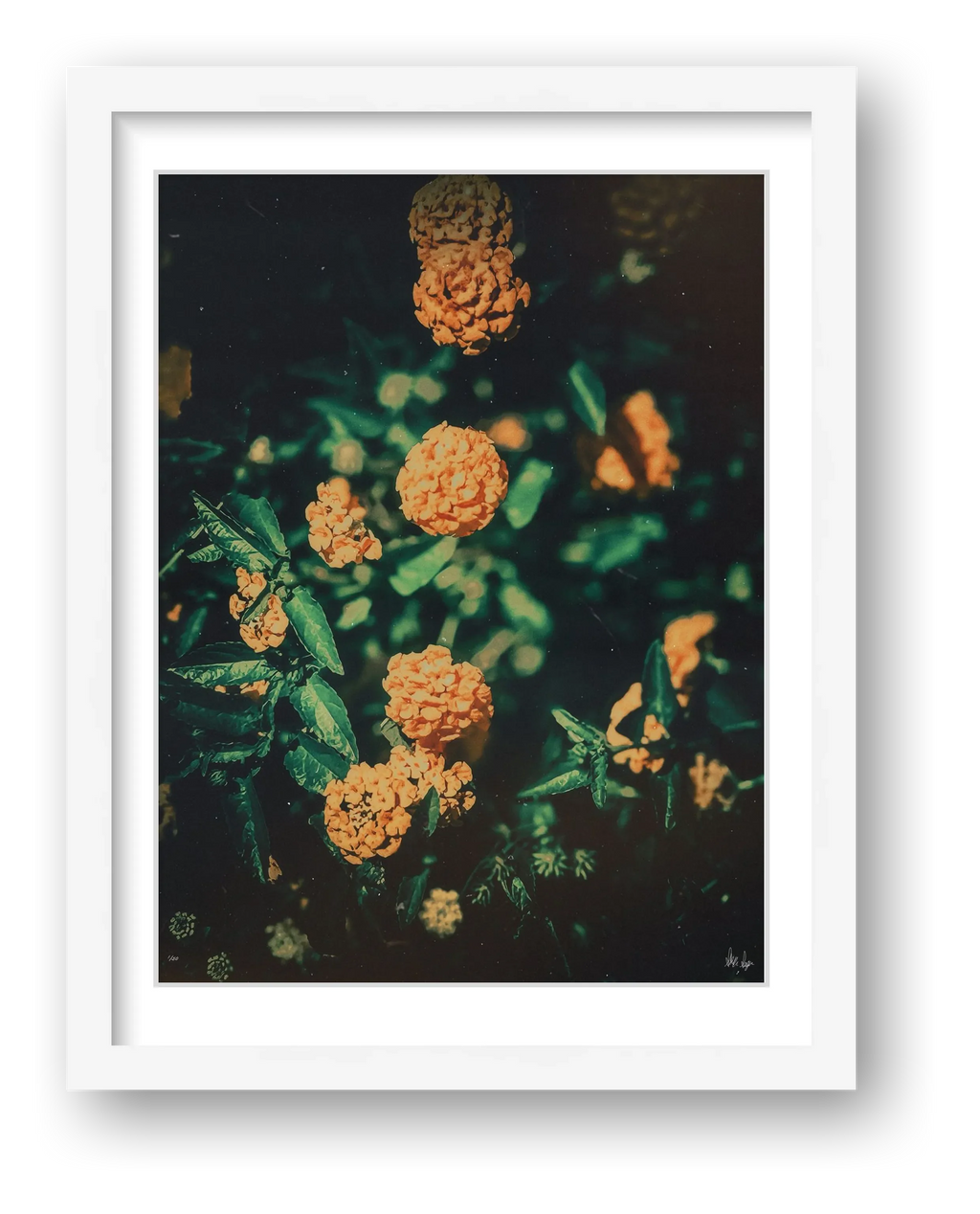 Sunshine — framed