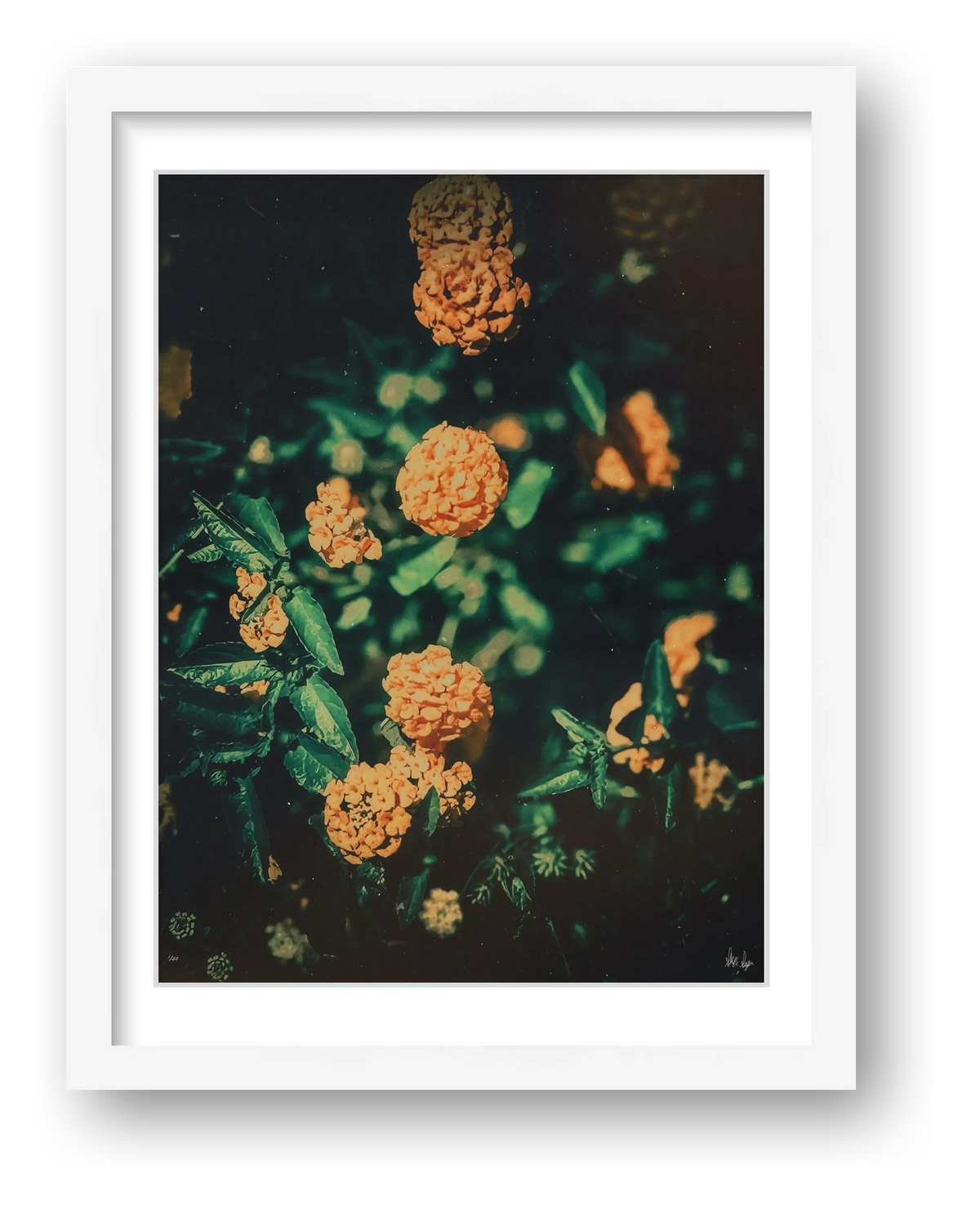 Sunshine — framed