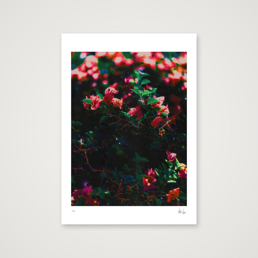 Subtlety — A4 (21×30cm, 8×12") Print only