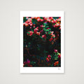 Subtlety — A4 (21×30cm, 8×12") Print only