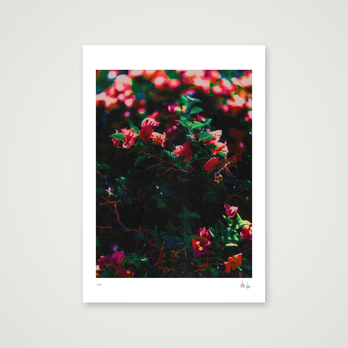 Subtlety — A4 (21×30cm, 8×12") Print only