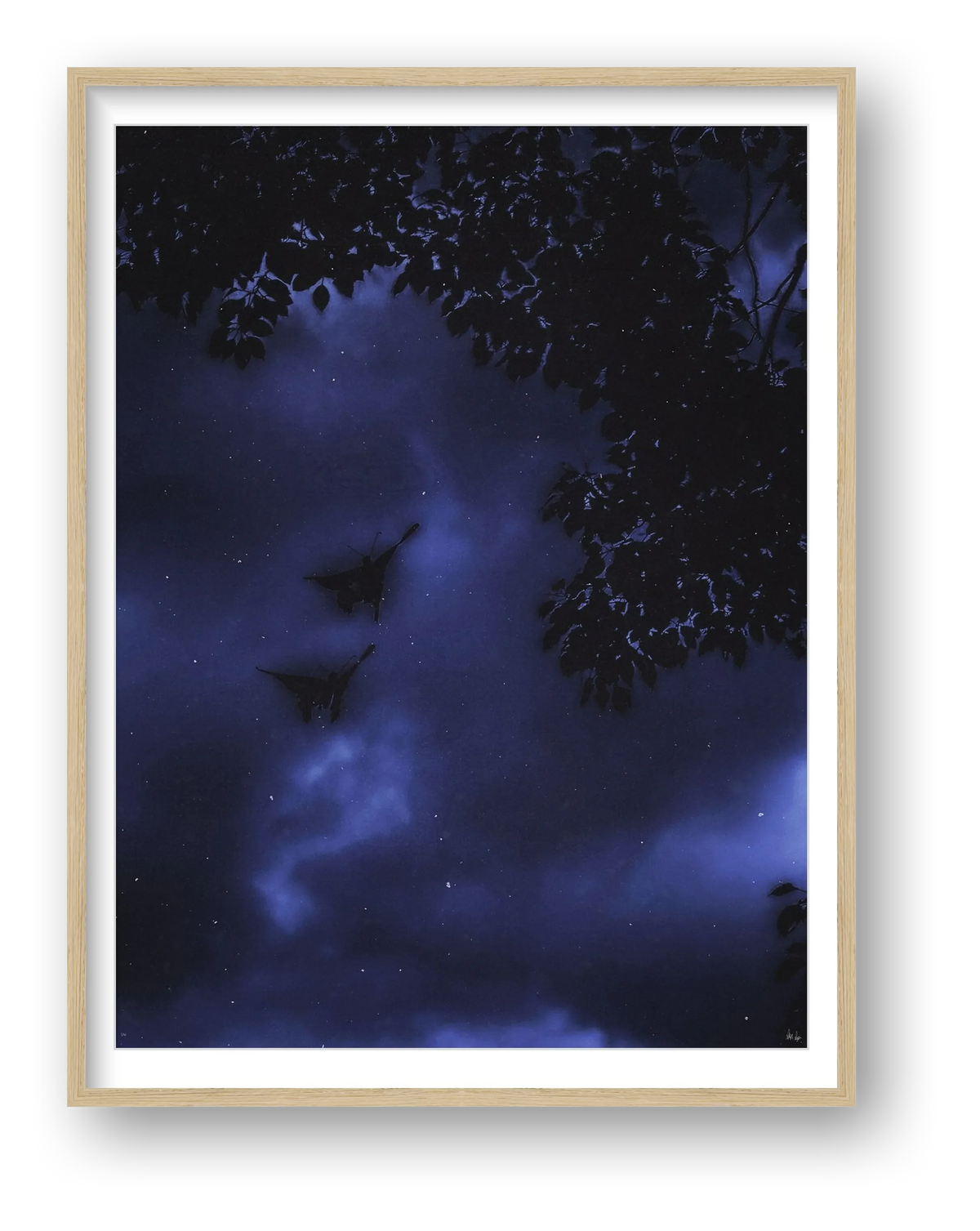 Midnight Flutters — framed