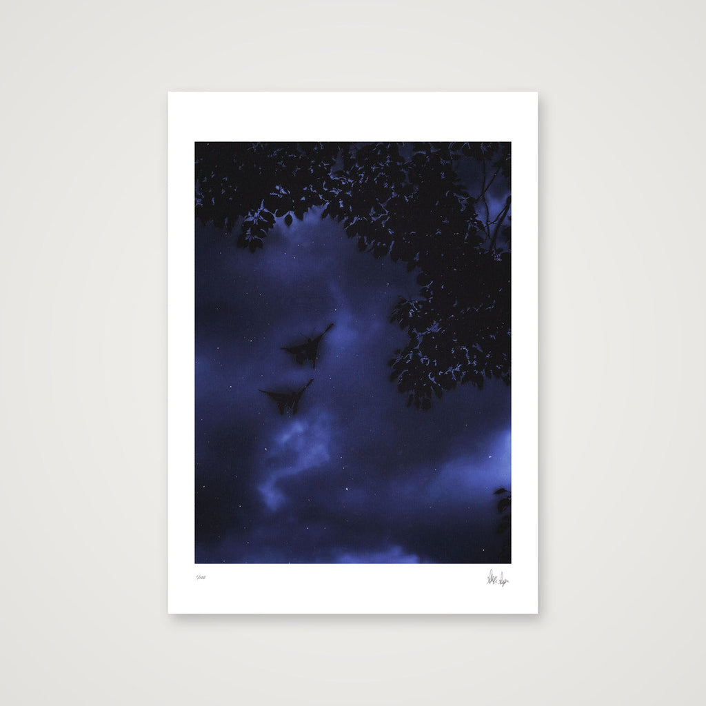 Midnight Flutters — A4 (21×30cm, 8×12") Print only