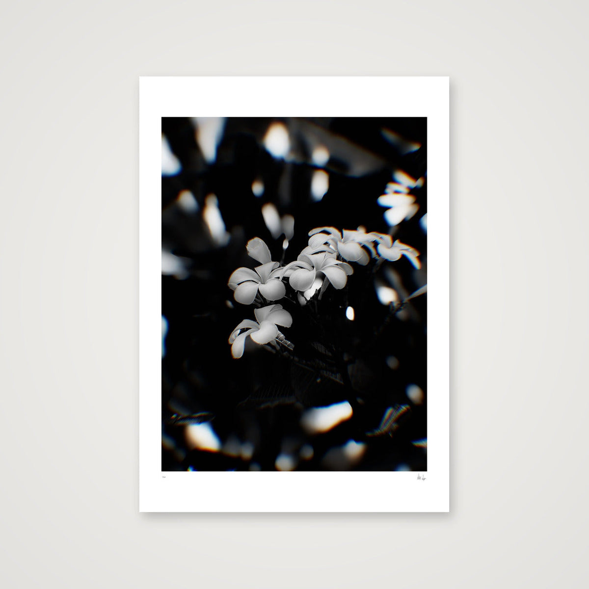 Solitude — 42×59cm, 17×23" Print only