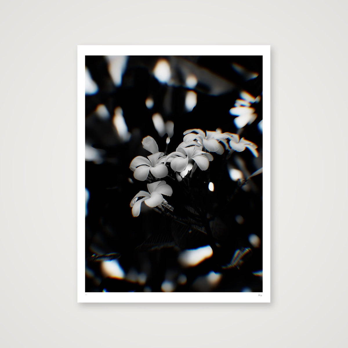 Solitude — 60×80cm, 24×31" Print only