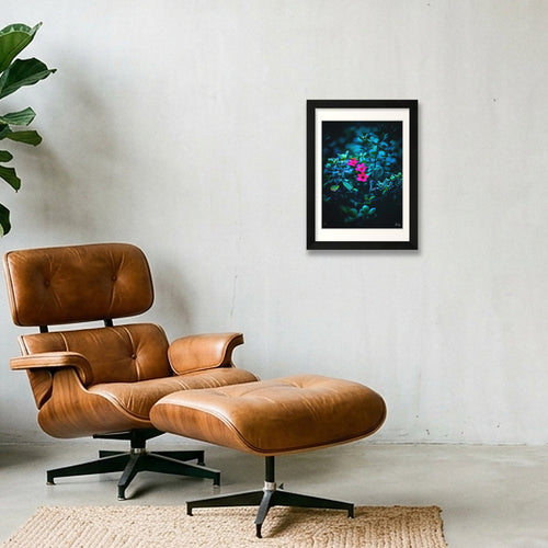 Isolate — A4 (21×30cm, 8×12") Black Frame