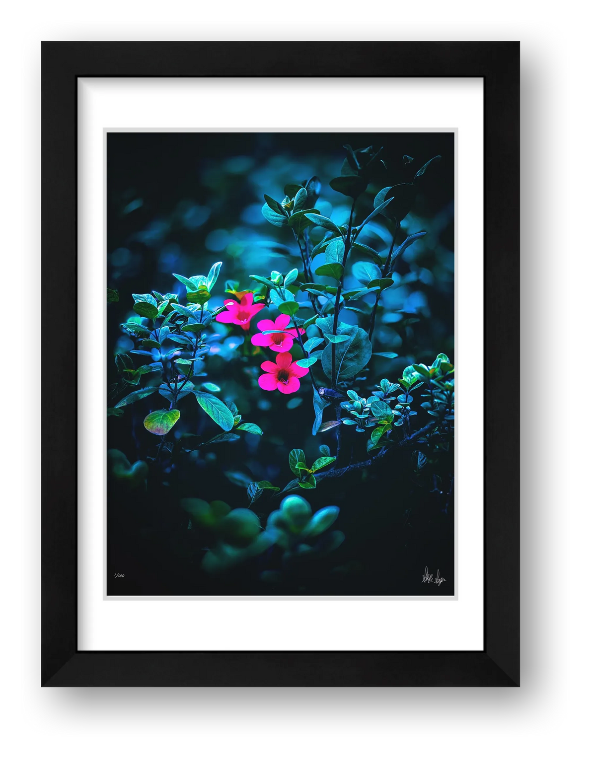 Isolate — framed
