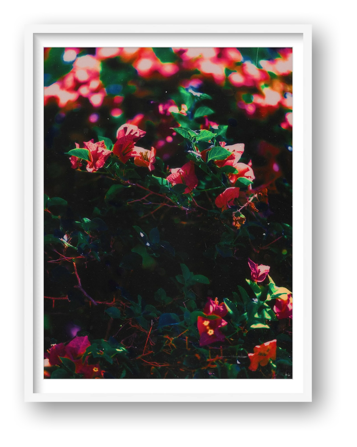 Subtlety — framed