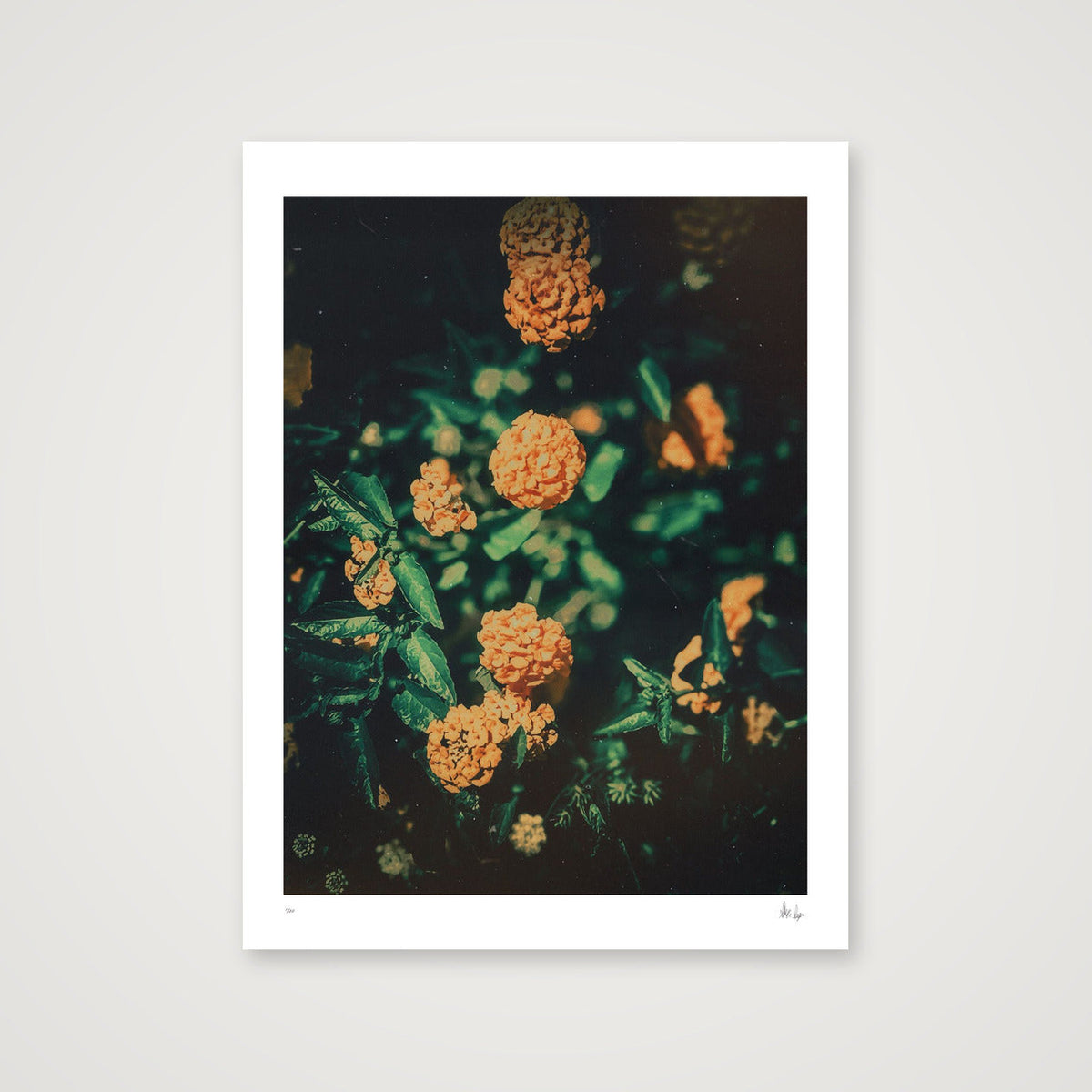 Sunshine — 30×40cm, 12×16" Print only
