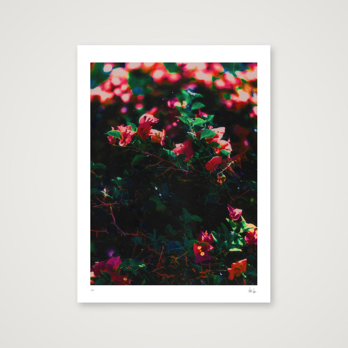 Subtlety — 30×40cm, 12×16" Print only