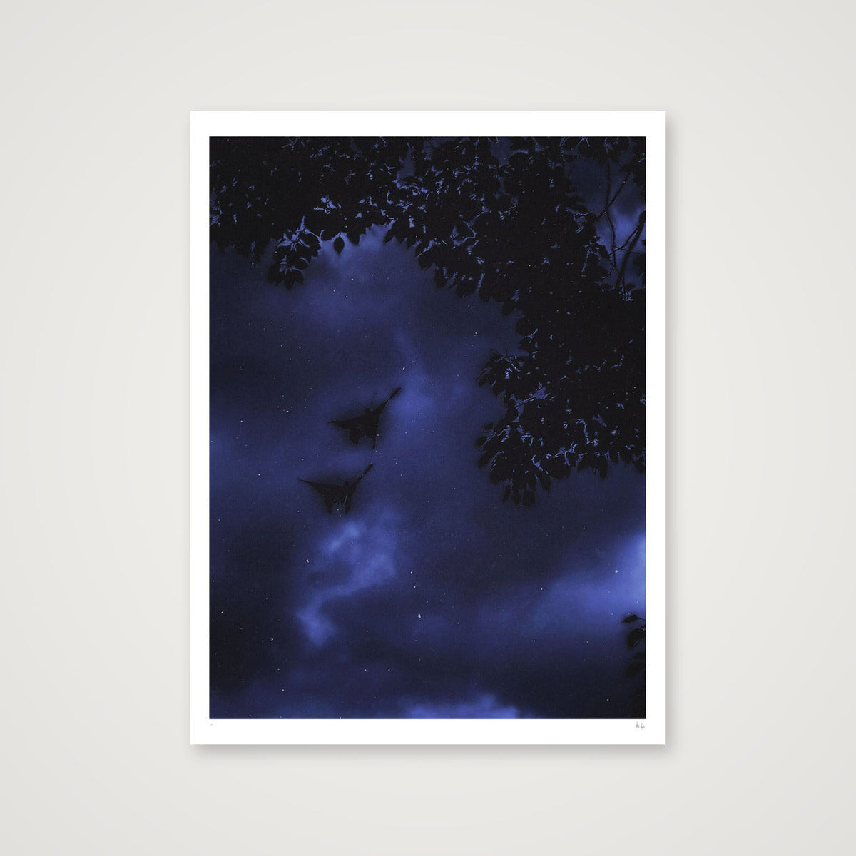 Midnight Flutters — 60×80cm, 24×31" Print only