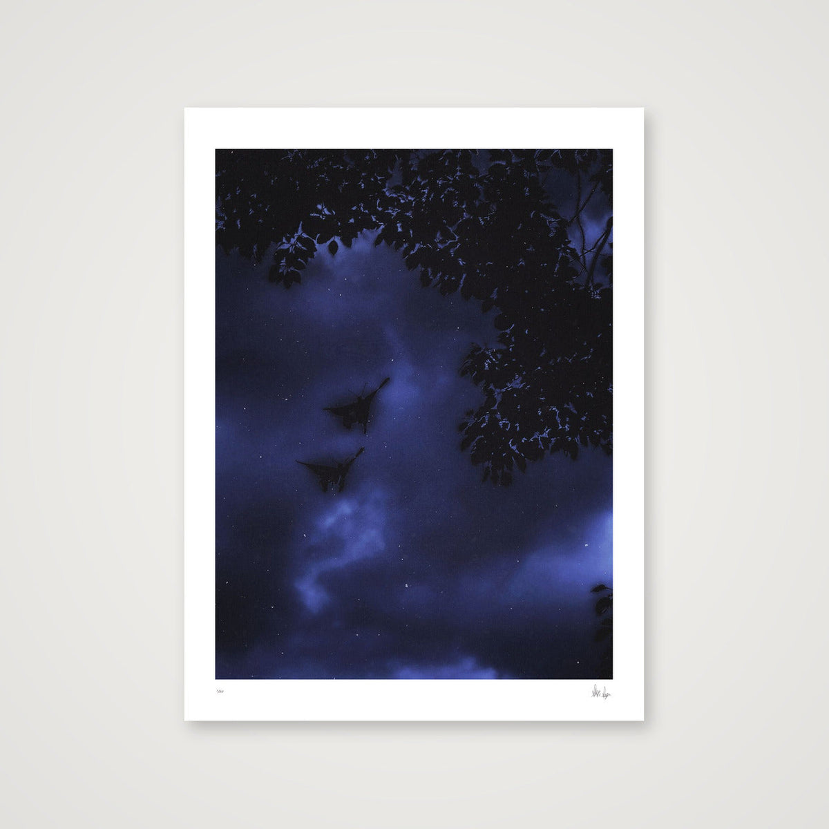 Midnight Flutters — 30×40cm, 12×16" Print only