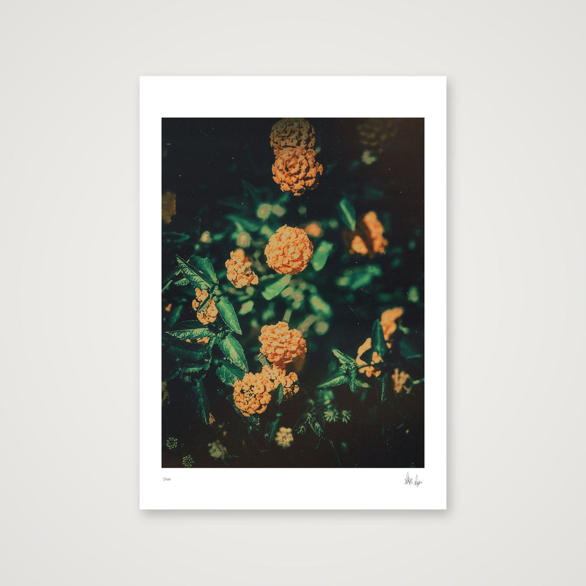 Sunshine — A4 (21×30cm, 8×12") Print only