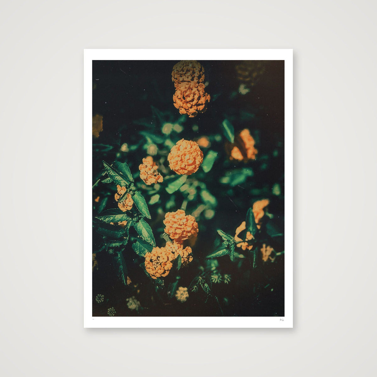 Sunshine — 60×80cm, 24×31" Print only