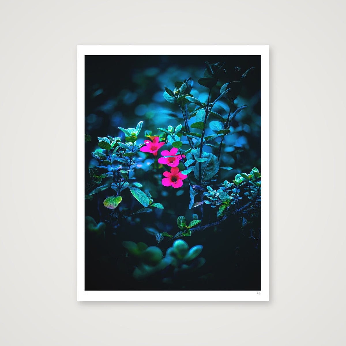 Isolate — 60×80cm, 24×31" Print only