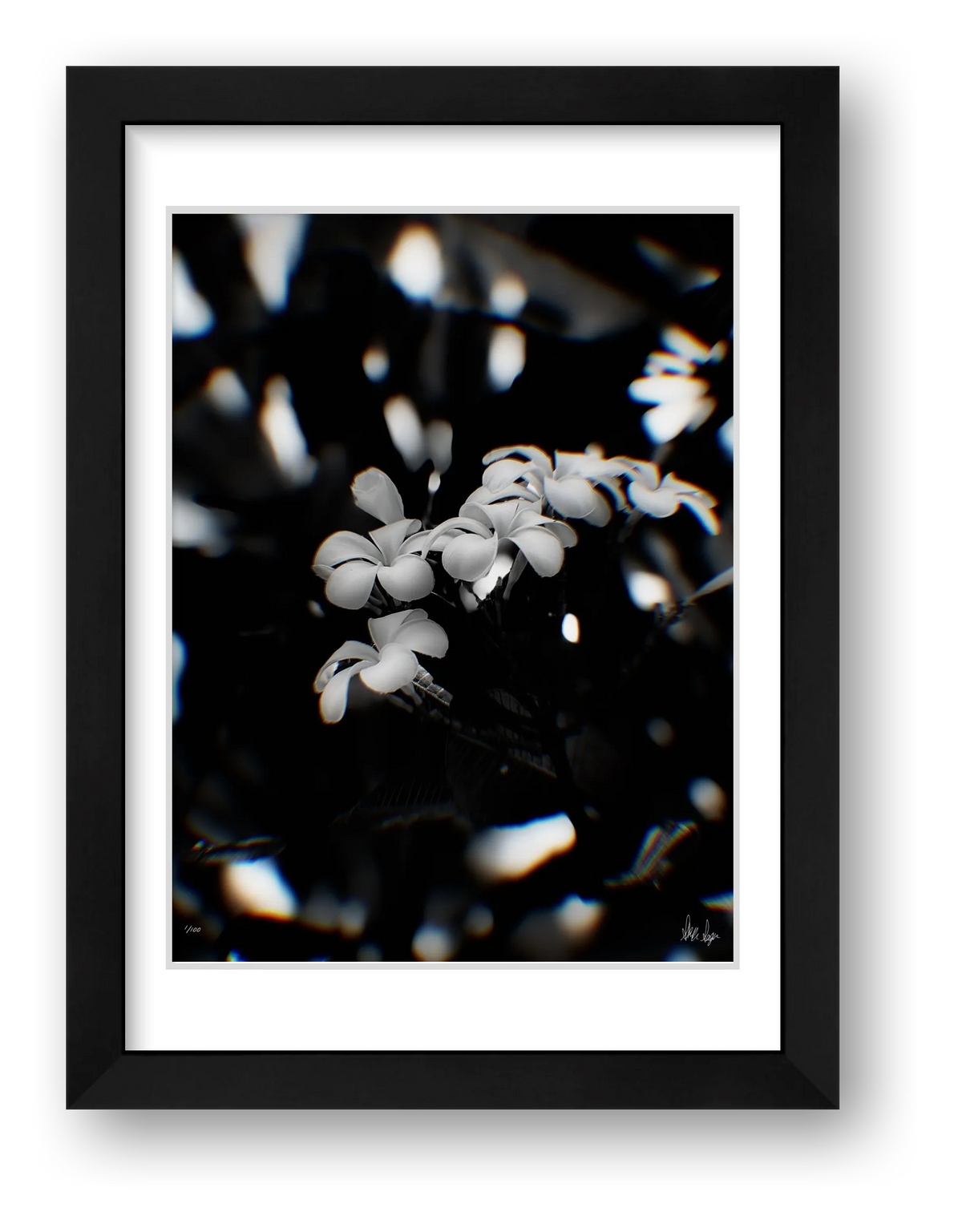 Solitude — framed