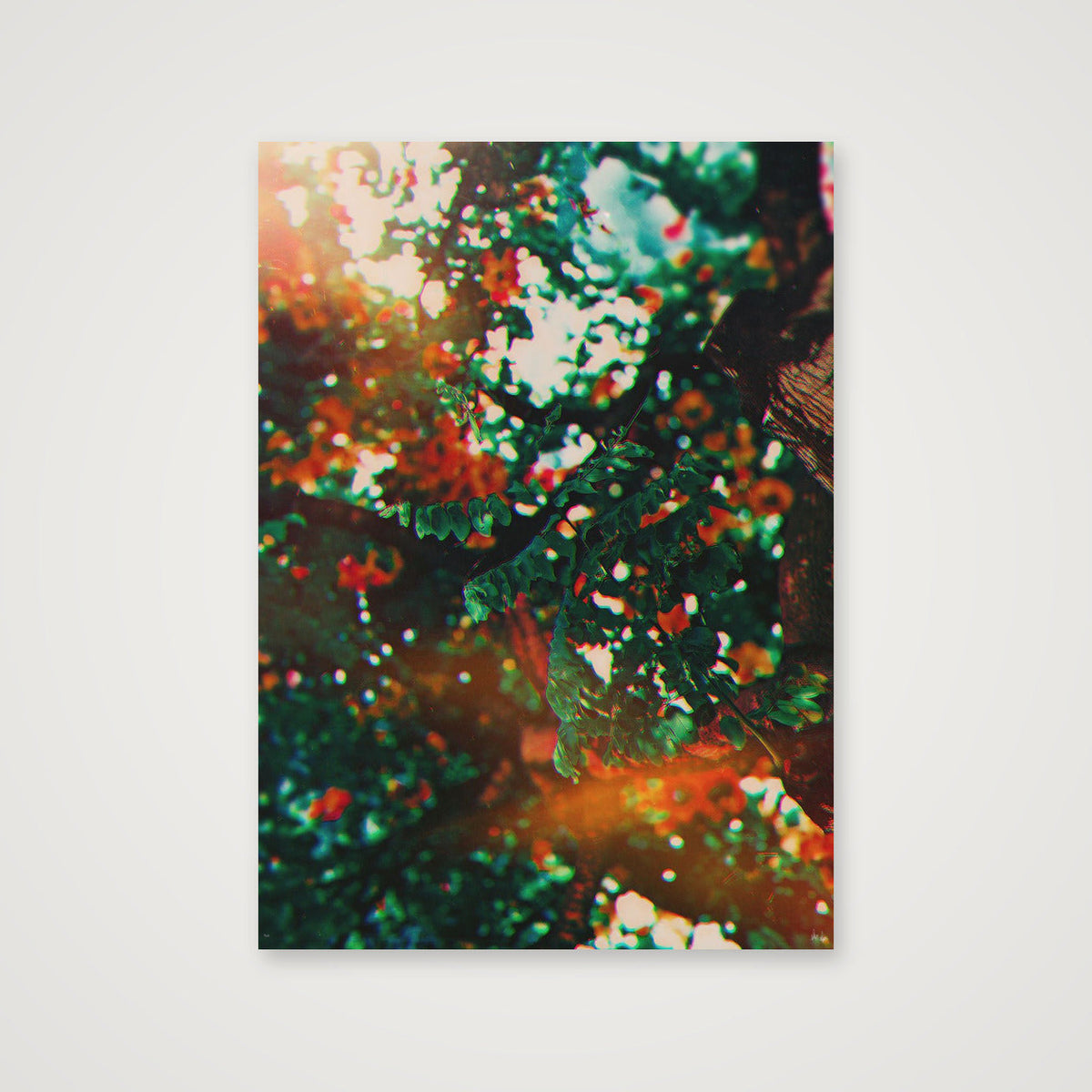 Golden Hour — 42×59cm, 17×23" Print only
