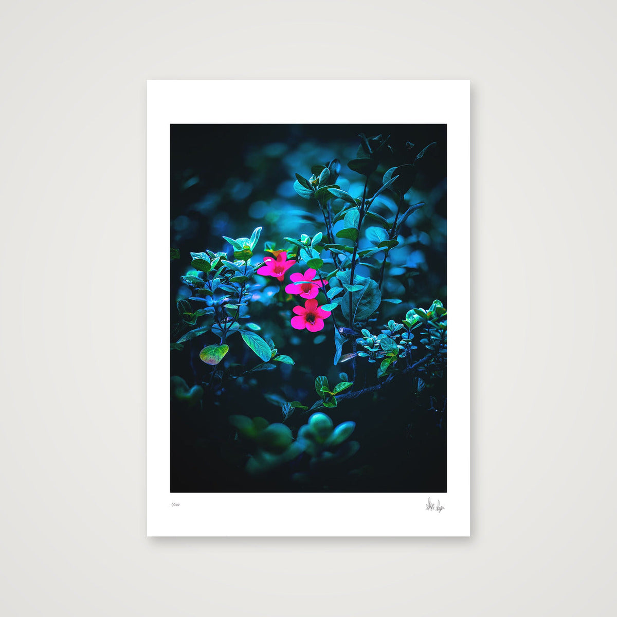 Isolate — A4 (21×30cm, 8×12") Print only