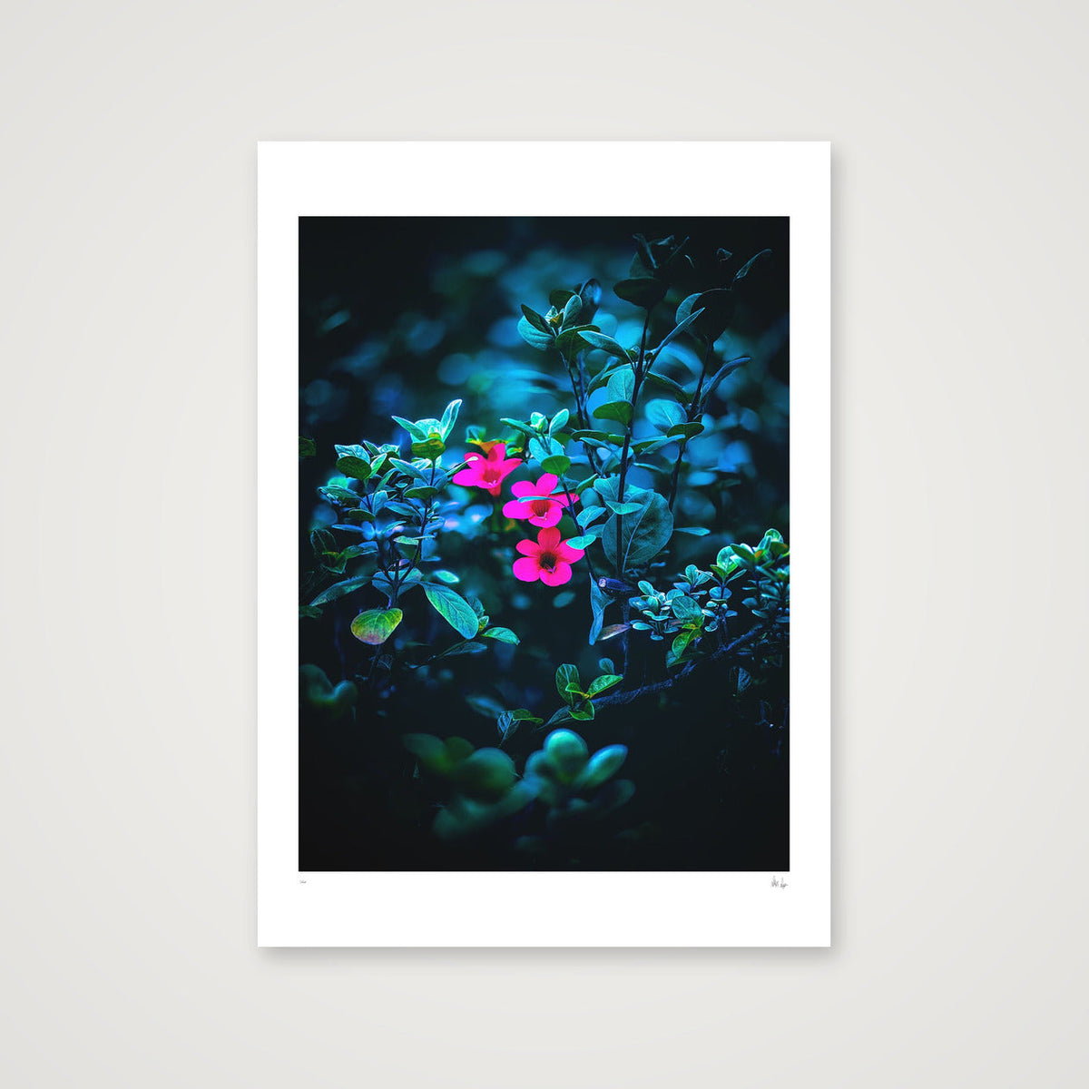 Isolate — 42×59cm, 17×23" Print only