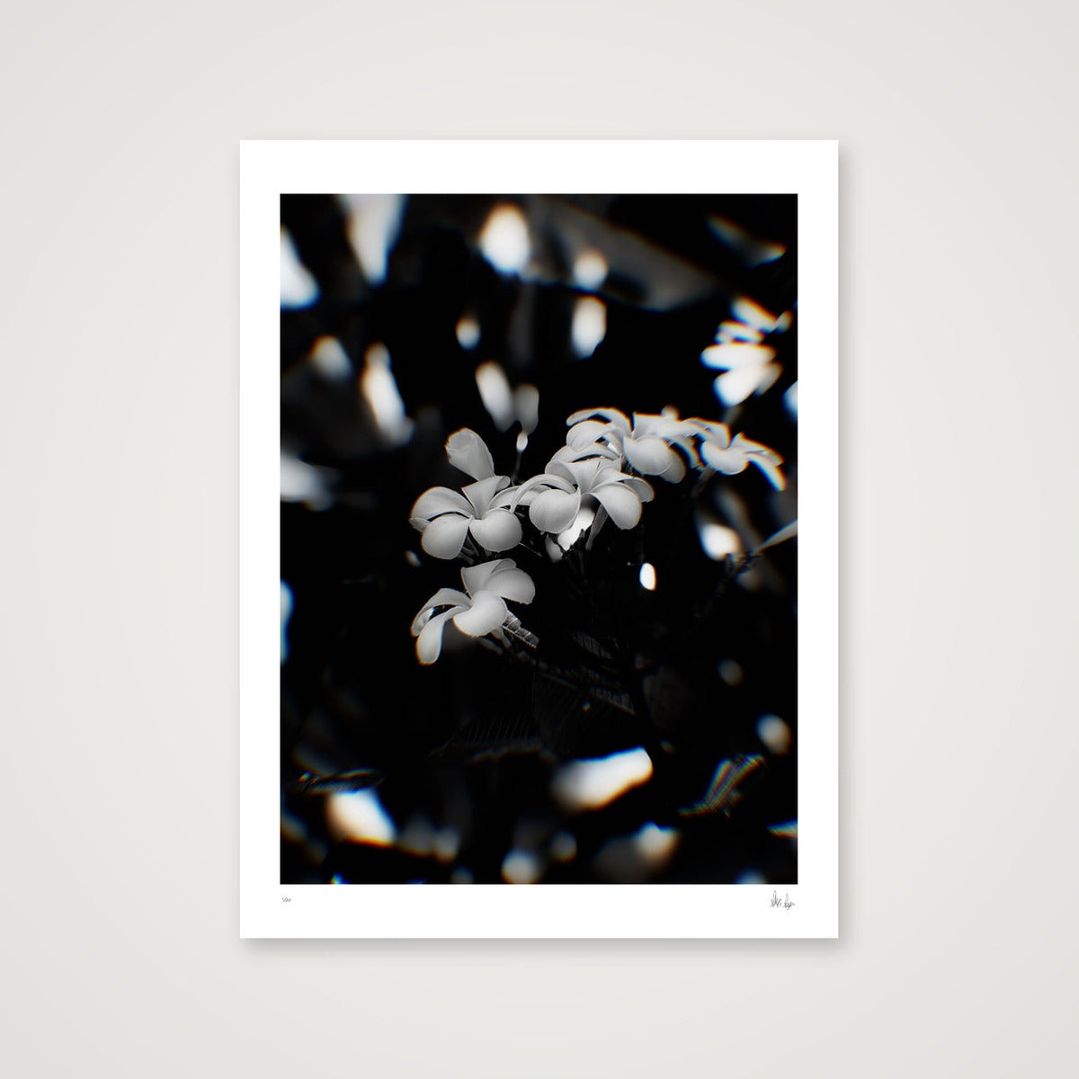 Solitude — 30×40cm, 12×16" Print only