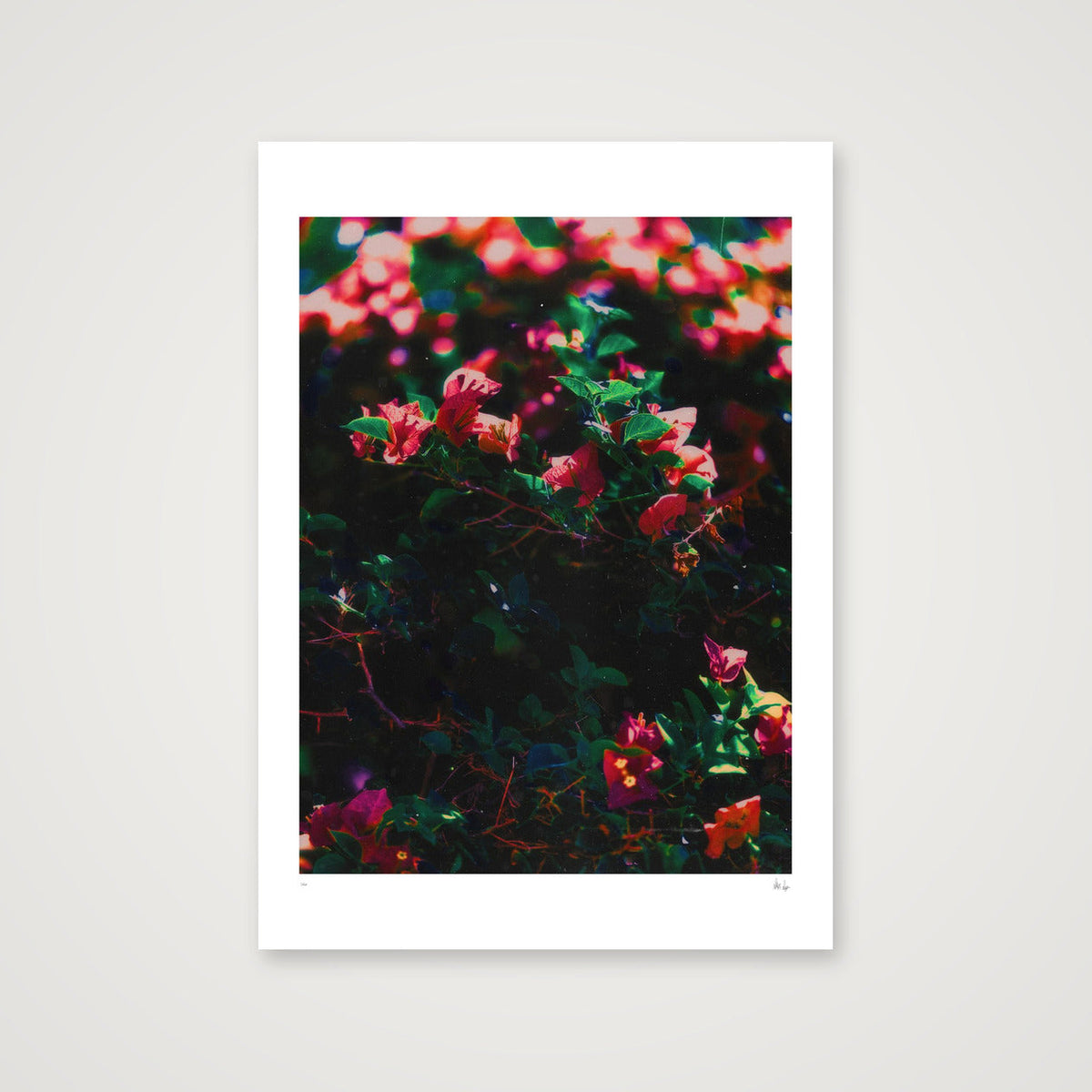 Subtlety — 42×59cm, 17×23" Print only