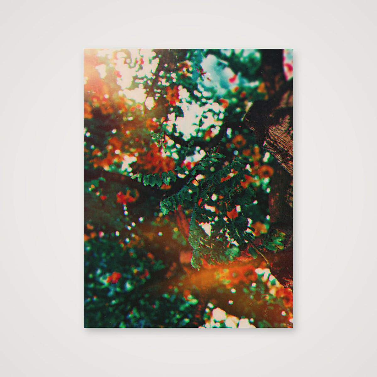 Golden Hour — 60×80cm, 24×31" Print only